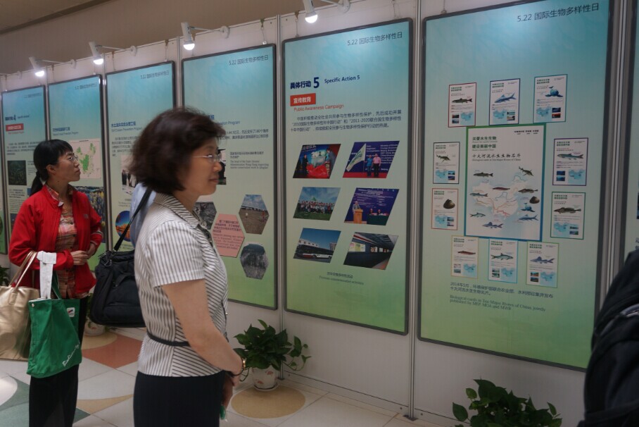 中国生物多样性红色名录正式发布