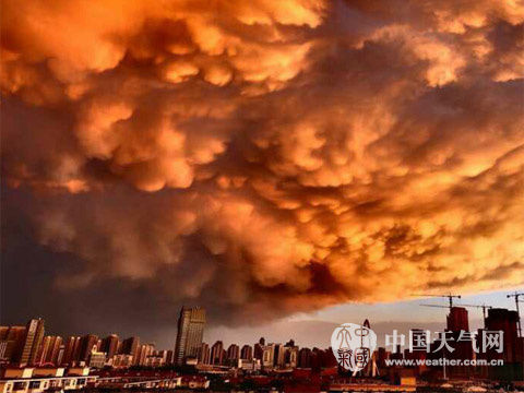 昨天18时左右,雨停风住,天津漫天云彩被夕阳染成金黄一片,美丽迷人。吴迪 董滨赫/摄