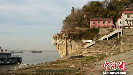 鄱阳湖水位下降裸露河堤“变身”菜地(图)