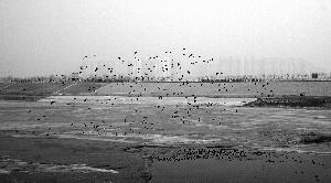 南水进京半月送来水量相当于8个昆明湖